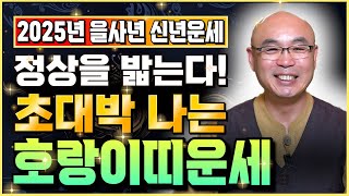 【2025년 을사년 행운의 '호랑이띠운세'】 내 인생을 크게 바꿀 수도 있는 천운이 들어온다! 2025 호랑이띠운세 돈벼락 맞는 초대박운세 50년생 62년생 74년생 86년생 운세