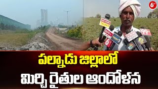 పల్నాడు జిల్లాలో మిర్చి రైతుల ఆందోళన | Mirchi Farmers | 6TV