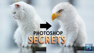 Photoshop Tutorial - Blend Animals