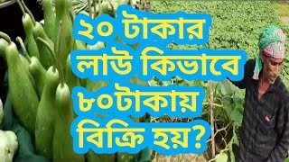 কুড়ি টাকার লাউ কিভাবে আশি টাকায় বিক্রি হয়  দেখুন। কৃষক থেকে ভোক্তা পর্যন্ত দাম জানুন।