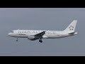 Lufthansa Airbus A320 *Star Alliance Livery* landing at Munich Airport | D-AIQS