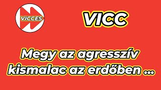 VICCES - VICC - Megy az agresszív kismalac az erdőben ...