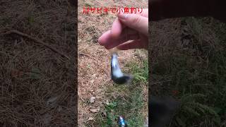 超簡単！！初心者でも釣れる！川で小物用サビキで小魚釣りしてみた！#shorts #fishing#小魚釣り  #神崎川 #エサ釣り