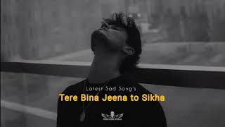 Humko tere bina jeena tu sikha lofi slowed reverb #song