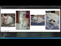 Matplotlib: Plotting Single & Multiple Images Made Easy!