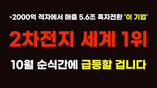 [주식] -2000억 적자에서 매출 5.6조 흑자전환 2차전지 세계 1위 '이 기업' 순식간에 급등할 겁니다 [2차전지관련주, 에코프로, 주식전망, 포스코홀딩스]