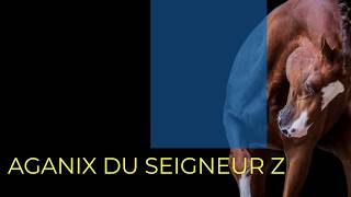 Aganix du Seigneur Z