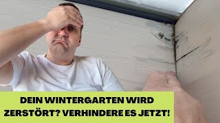 ACHTUNG! 😱 Diesen FATALen Wintergarten-Fehler musst du UNBEDINGT vermeiden!