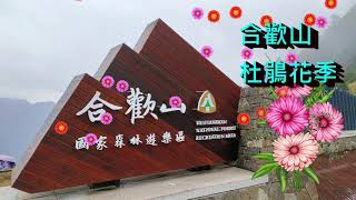 合歡山杜鵑花季/石門山及合歡尖山賞杜鵑花