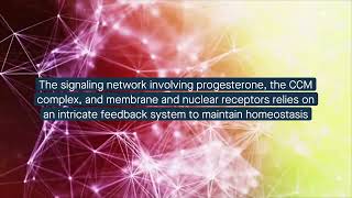 The CCM signaling complex mediates progesterone receptor signaling in breast cancer