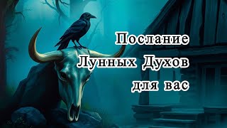 Послание Лунных Духов для вас. Таро расклад.