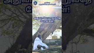 அதுவாவே மாறுவதே யோகிகள்!/மண்டை ஓட்டுக்காரன்/Anma Arungkona Chakkaram