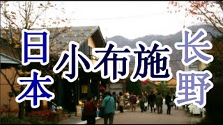 日本之旅：长野县 小布施 栗子和葛饰北斋和花之乡城市 长野40 Moopon