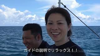 １日の流れ　体験ダイビングプログラム