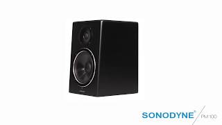 Sonodyne's PM 100