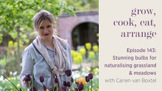 Stunning Bulbs for Naturalising Grassland \u0026 Meadows with Carien van Boxtel - Episode 143