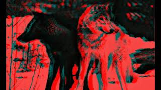 Wind Water Wave - Wolves