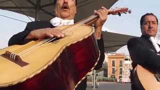 mariachi mexico city plays " cielito lindo"