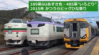 189系グレードアップあずさ色・485系“いろどり” ～'15年勝浦ひな祭り～