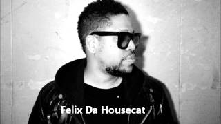 Felix Da Housecat - Chicago Blakkout  019