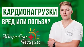 Как кардионагрузки влияют на сердце?