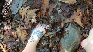 Barefoot Solo Hiking | Muddy Trail | Cove Creek Waterfall | PNF