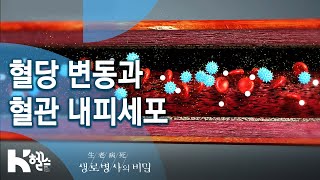 혈당 변동이 혈관 내피세포를 심각하게 훼손시킨다?! - 725회(20.02.05) 만성질환의 지름길 혈당 스파이크