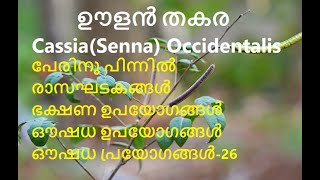 ഊളൻ തകര | Senna Occidentalis | negro-coffee | senna coffee | പൊന്നാവീരം | സൂചിതകര | പേയ് തകര