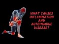 What causes Inflammation and Autoimmune disease?