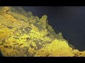 Surveying Pele's Pit Crater on Kamaʻehuakanaloa (formerly Lō`ihi Seamount) | Nautilus Live