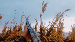 Amazing duck hunting moments of 2024/25 season. Hardest video to put together for your enjoyment 🙏