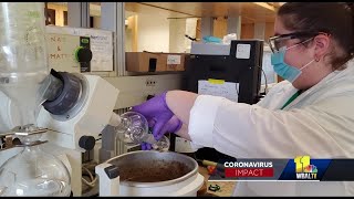 UMBC researcher thinks 10-year-old drug can help those infected with coronavirus