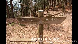 春の遠足：寄～後沢～後乗越～鍋割山～雨山～檜岳～寄（2018/04）