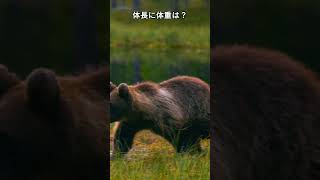 ヒグマの秘密 生態と共存の物語 Secrets of the Brown Bear: A Story of Ecology and Coexistence #animal