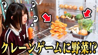 【えなこ】クレーンゲームの中に野菜や私物入っているドッキリ