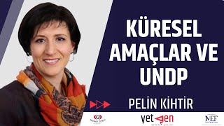 Küresel Amaçlar ve UNDP | Pelin Kihtir ile Fireside Chat