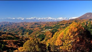 紅葉が美しい小川村から戸隠山 大望峠に・4K撮影