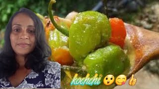 කොච්චිත්  රසට  උයන්න පුලුවන් 😅😄🤔(yummy  simple recipe ) day vlog sinhala /Green chilli /we 2 girl2