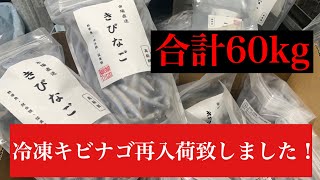 60kg入荷致しました！！～キビナゴ再入荷のお知らせ～