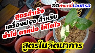 สูตรลับ วิธีปรุงดิน ชำ ไข่บอน เพาะตาหน่อ โตไวเห็นผลแน่นอน แบบง่ายๆ by กูบ้าไม้ด่าง