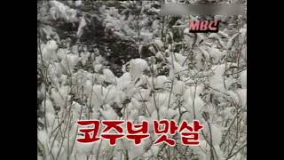 MBC ID - 눈꽃 (1993년 12월 30일)