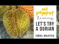 What does a Durian Taste Like? Let's try eating  a Durian in Sabah, MALAYSIA