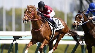 3歳未勝利　芝2400m (右 外 A)　ラファミリア　牡3　57.0　武豊　2024.3.16　　出走馬：コンフェルマ、テイクザクラウン、ピエスダルジャン、ロンギングキイ、ベルベストランナー他