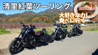 【紅葉ツーリング】八ヶ岳高原ラインを走って清里に行く美味しいカレーも食べました#yamahabolt #レブル1100 #ハーレーダビッドソン #カレー #紅葉 #清里