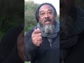 Shocking Truth: They'll Come for Every Liberated Being - Are You Ready?😇🍃🙏#shorts #mooji #inspiring