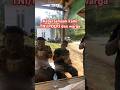 Viral kebersamaan TNI/Polri dan masyarakat #shorts #youtubeshorts #polisi #tni #viralvideo #trending