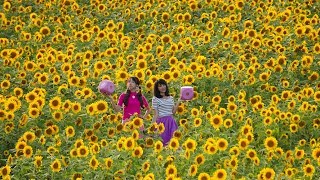 【东游食记·北海道篇】03 电车掷骰子大比拼，小溪和小雪谁能先到达深川呢？输了的人据说不能吃饭哦~