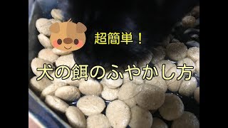 子犬の餌をふやかす方法!2ヶ月齢子犬に完全ふやかしの餌をあげよう♫