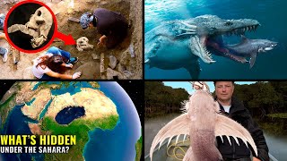 Mysterious Discoveries & Amazing Animals | ORIGINS EXPLAINED COMPILATION 12