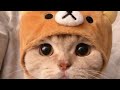 The chosen one | by Maher Zain | sped up | vocals only
